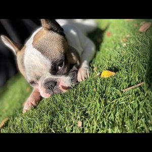 Meet your Posher, Yolanda